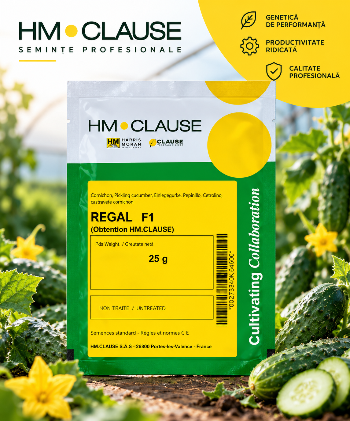 Castraveți Regal F1 25 g HM.CLAUSE – semințe profesionale cornichon