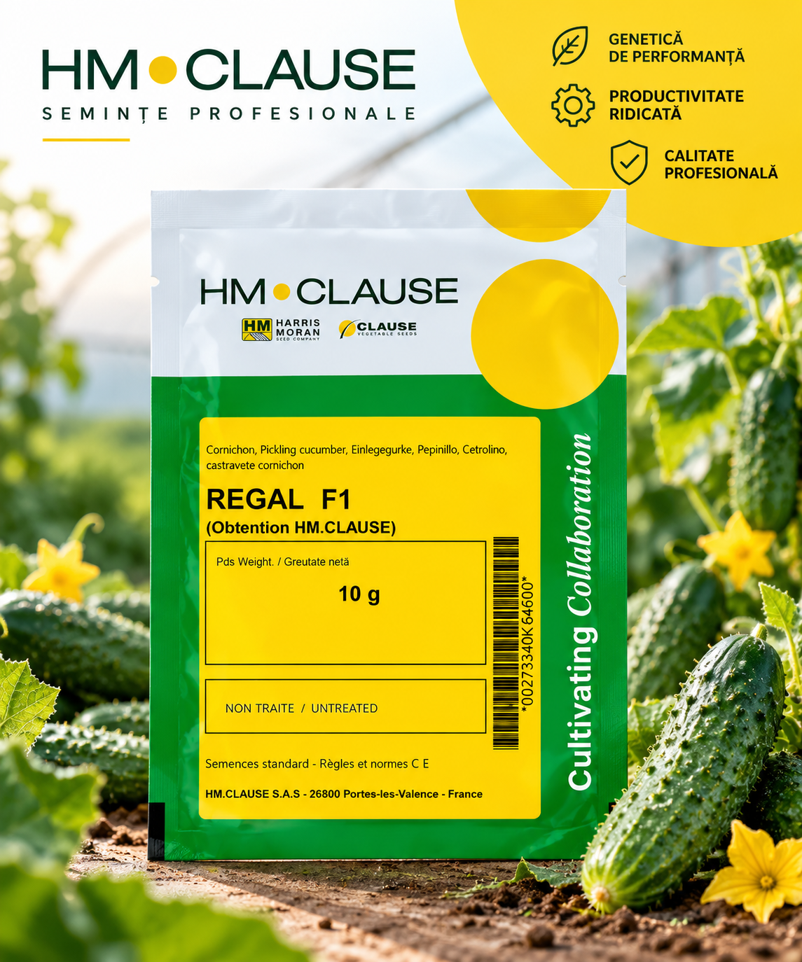 Castraveți Regal F1 10 g HM.CLAUSE – semințe cornichon